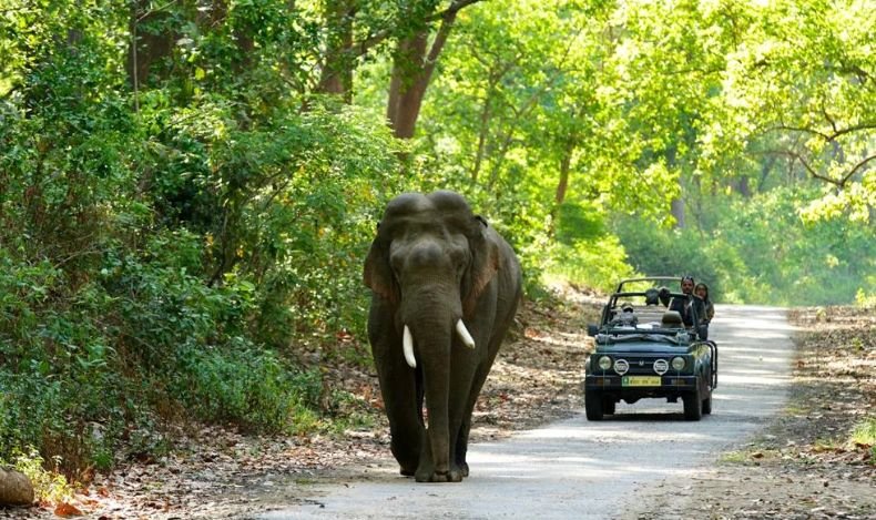 Jim Corbett