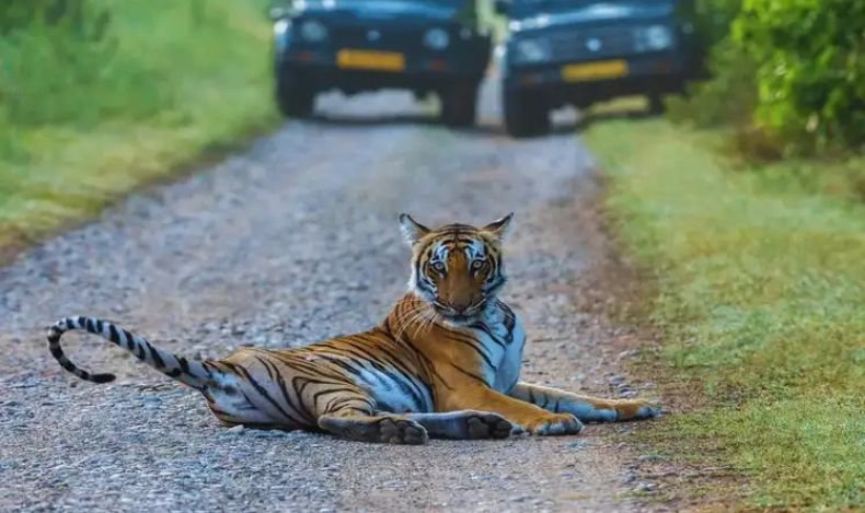 Jim Corbett