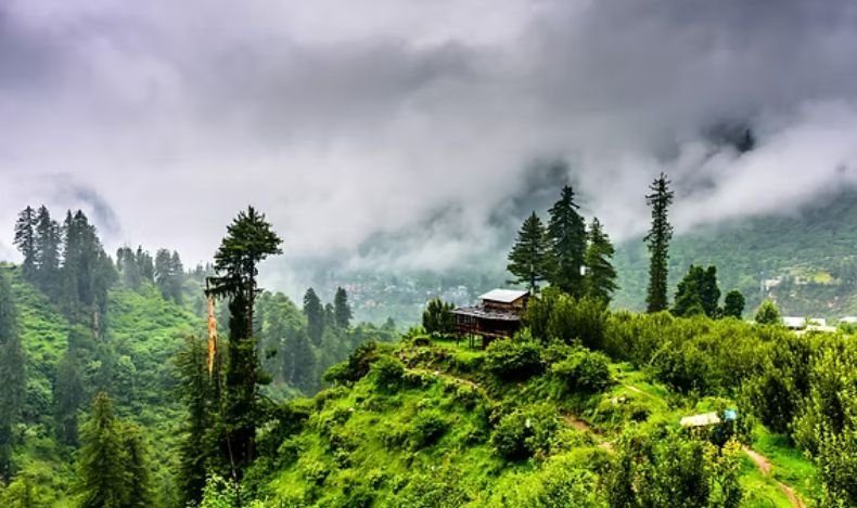 Kasauli
