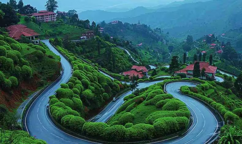 Kasauli
