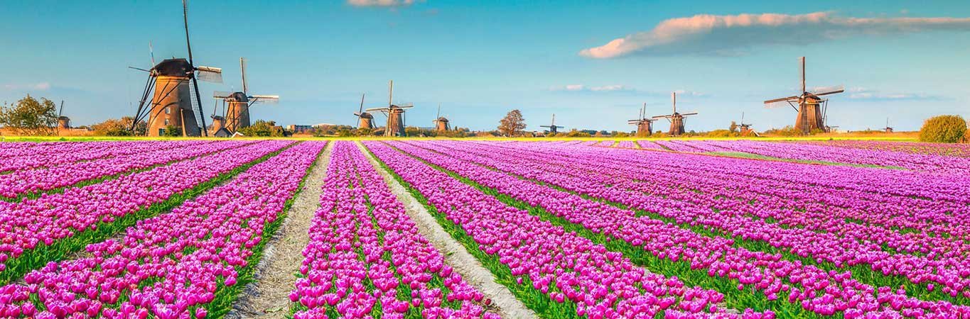 Tulip Time Cruise