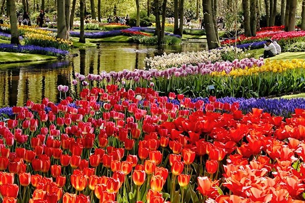 Tulip Time Cruise