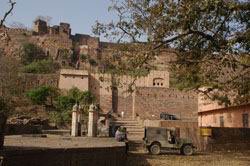 Ranthambhor National Park