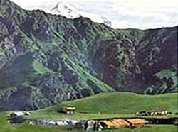 Dehradun